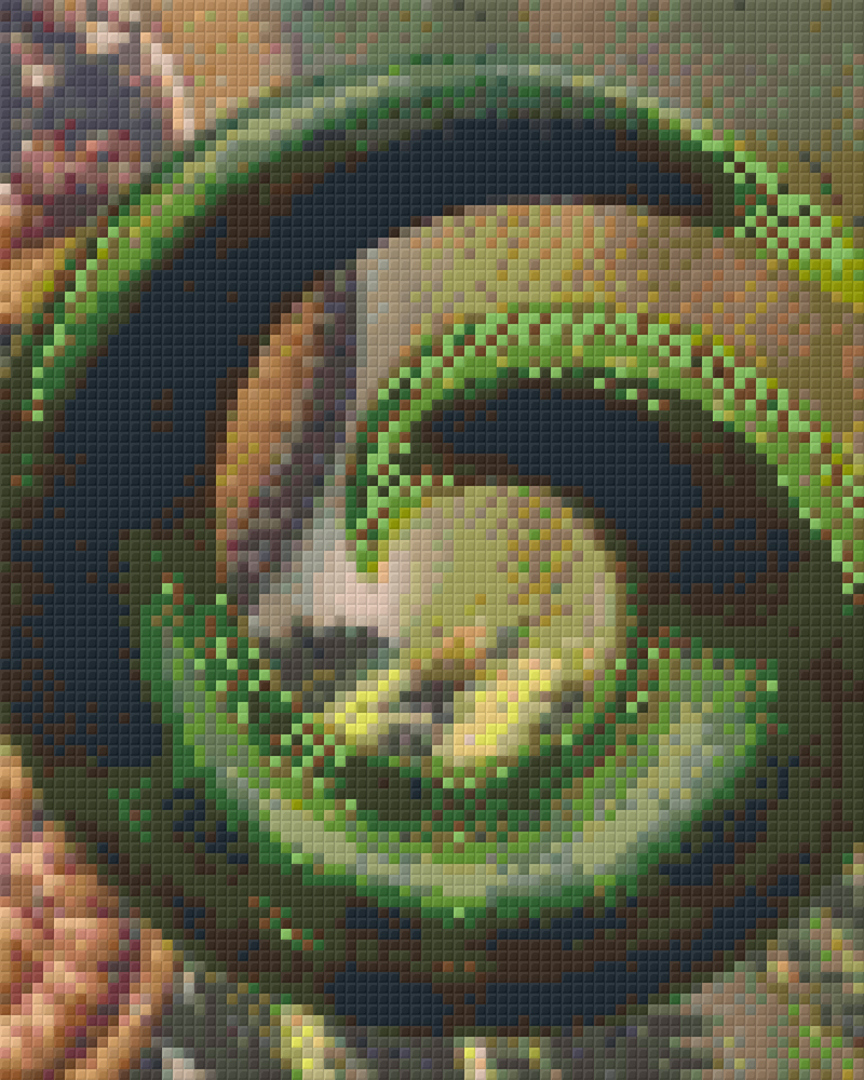 Koru Four [4] Baseplate PixelHobby Mini-mosaic Art Kit image 0